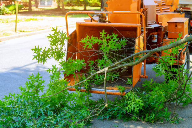 Landscape Design and Installation in Hoisington, KS