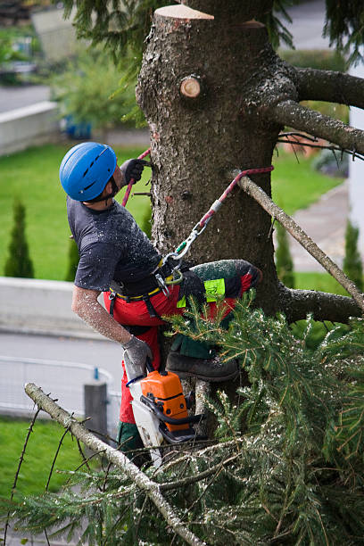 Lawn Watering Services in Hoisington, KS